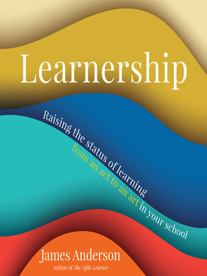 cover image of Learnership